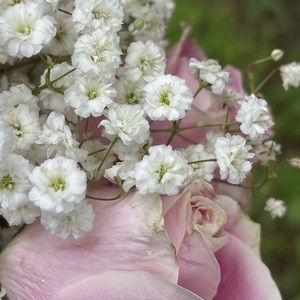 Meet your Posher, Faith